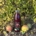 Jus de grenade Bio 75 cl